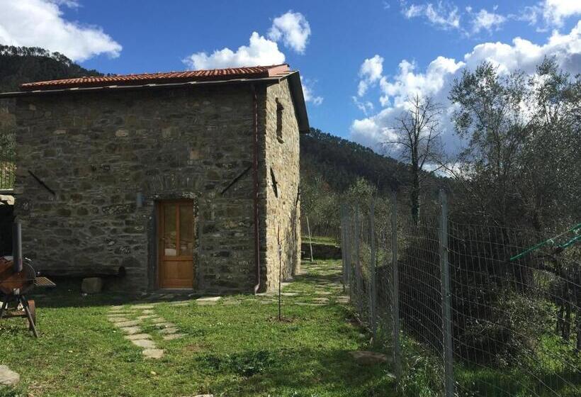 إستوديو قياسى, I Due Ghiri Cinque Terre  Organic Food And Wine