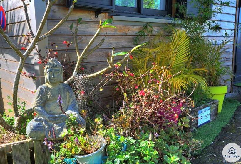 استودیوی استاندارد, Les Gites Le Bambou 3 étoiles Les Avirons