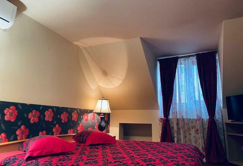 اتاق استاندارد, Pensiunea Texas Self Check In