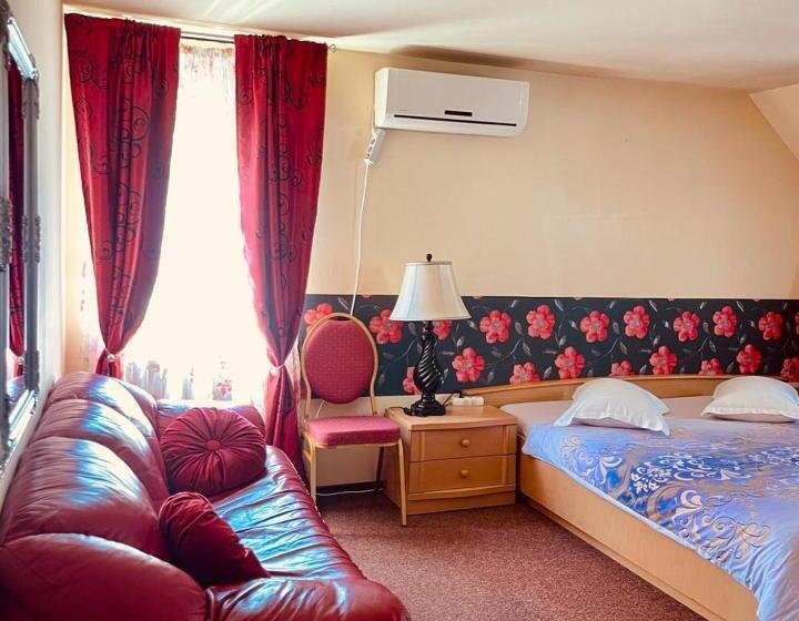 اتاق استاندارد, Pensiunea Texas Self Check In