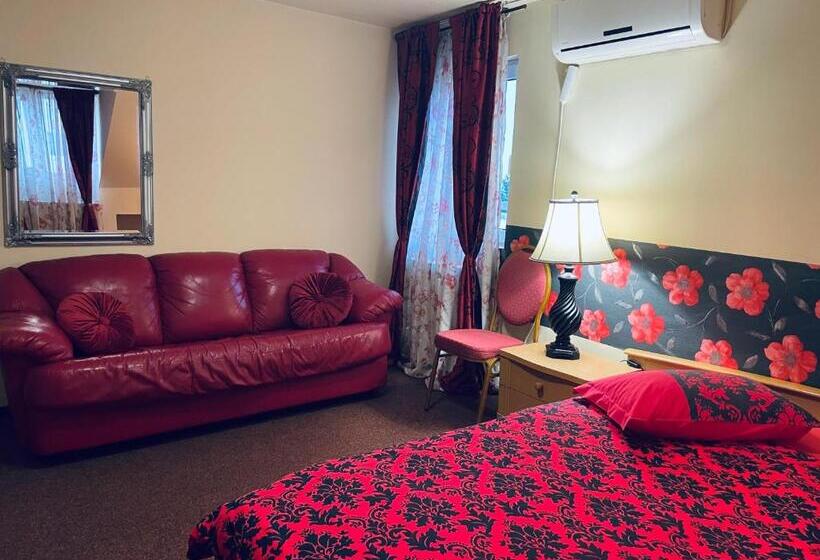 اتاق استاندارد, Pensiunea Texas Self Check In