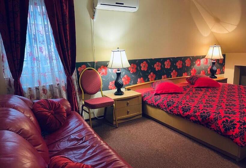 اتاق استاندارد, Pensiunea Texas Self Check In