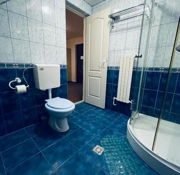 اتاق سوپریور, Pensiunea Texas Self Check In