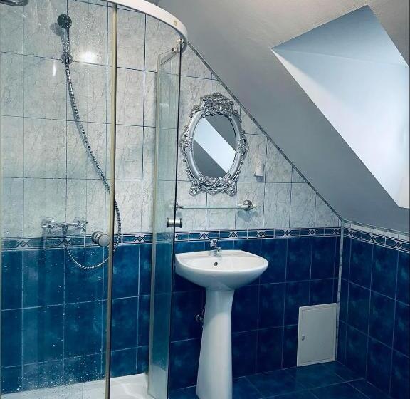 اتاق سوپریور, Pensiunea Texas Self Check In