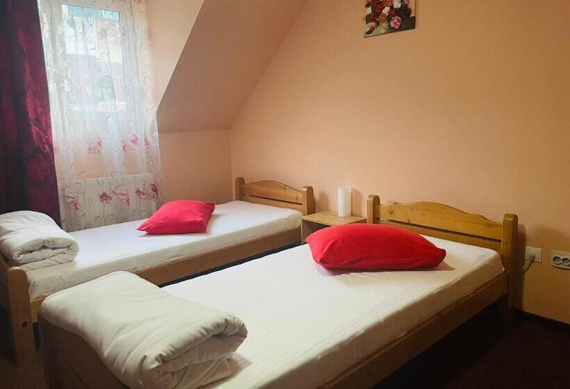 اتاق سوپریور, Pensiunea Texas Self Check In