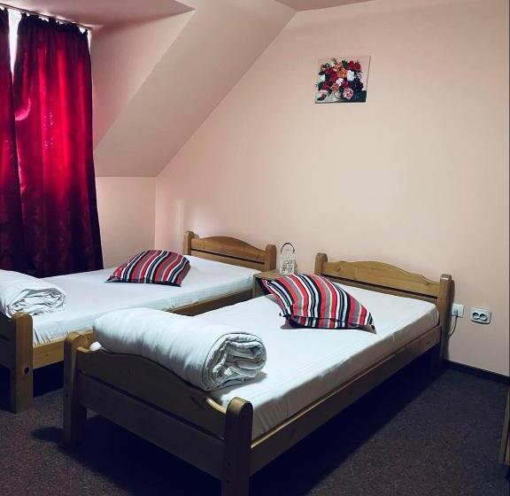 اتاق سوپریور, Pensiunea Texas Self Check In