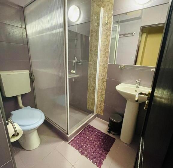 اتاق استاندارد با تخت بزرگ, Pensiunea Texas Self Check In