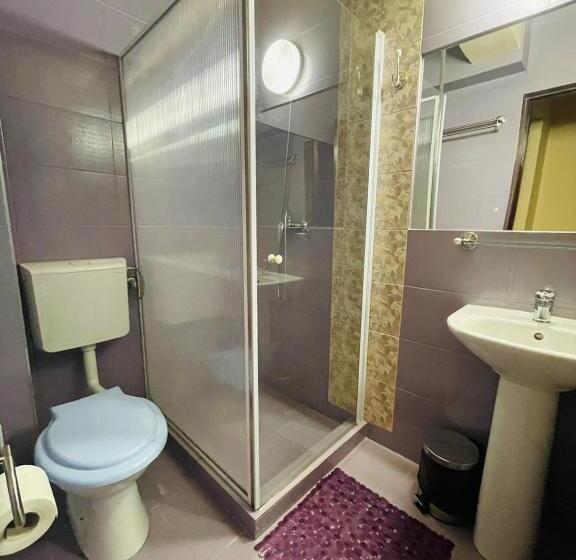 اتاق استاندارد با تخت بزرگ, Pensiunea Texas Self Check In