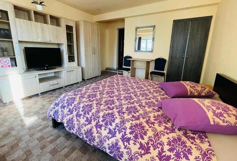 اتاق استاندارد با تخت بزرگ, Pensiunea Texas Self Check In