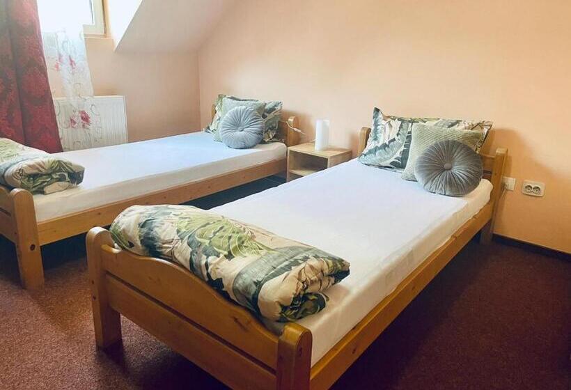 اتاق سوپریور, Pensiunea Texas Self Check In