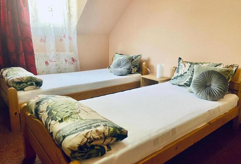 اتاق سوپریور, Pensiunea Texas Self Check In