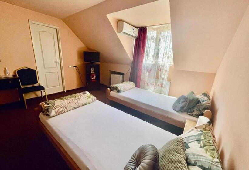 اتاق سوپریور, Pensiunea Texas Self Check In