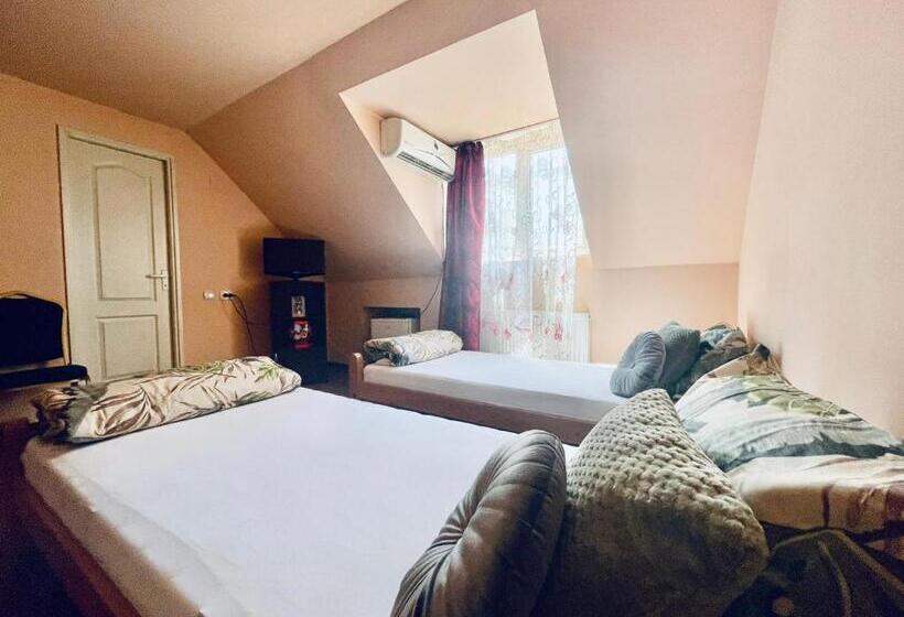 اتاق سوپریور, Pensiunea Texas Self Check In