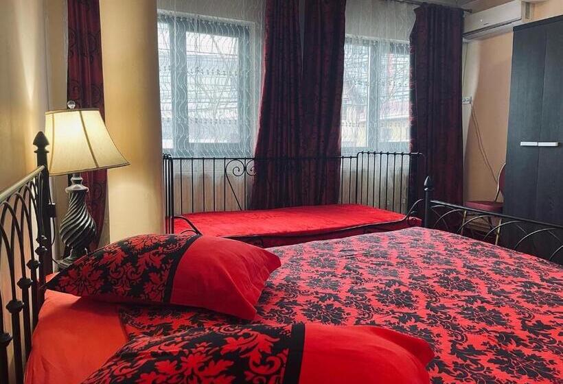 اتاق استاندارد با تخت بزرگ, Pensiunea Texas Self Check In