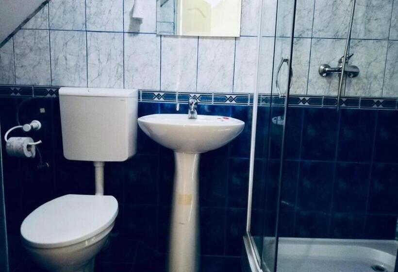 اتاق استاندارد, Pensiunea Texas Self Check In