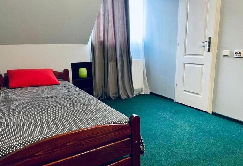 اتاق استاندارد, Pensiunea Texas Self Check In