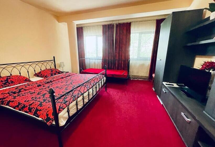 اتاق استاندارد با تخت بزرگ, Pensiunea Texas Self Check In