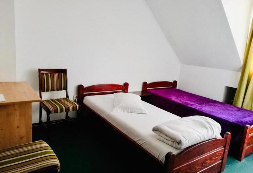 اتاق استاندارد, Pensiunea Texas Self Check In