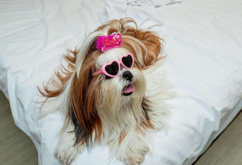 스탠다드 트리플 룸, Ibis Styles Goiânia Shopping Estação