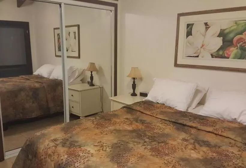 آپارتمان 2 خوابه با چشم‌انداز دریا, Sunset Gardens Guesthouse