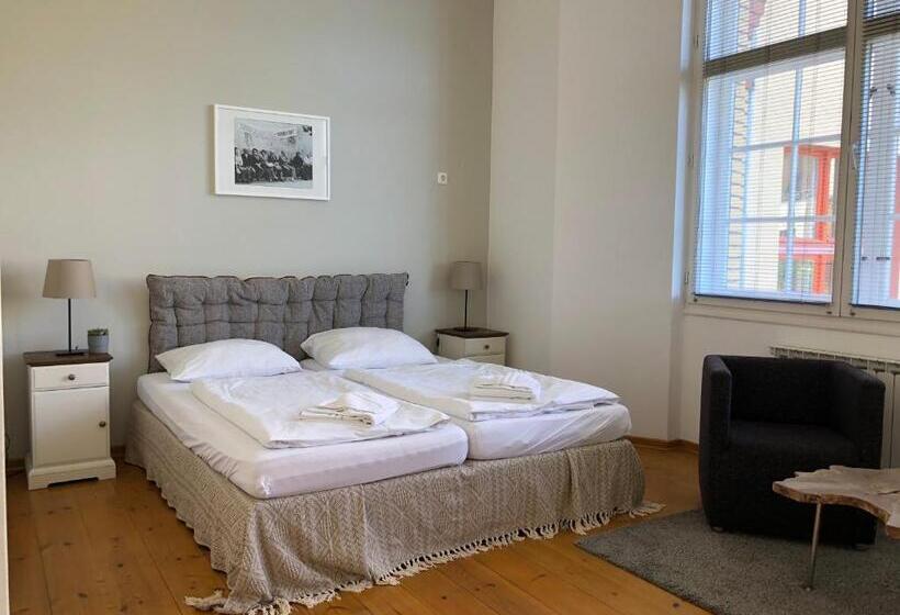 اتاق استاندارد با سرویس بهداشتی مشترک, Berlincity