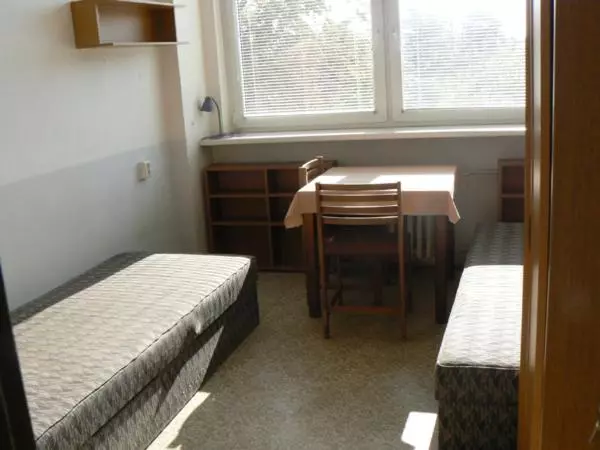 ルームシェアのワンベッド, Hostel Modrá