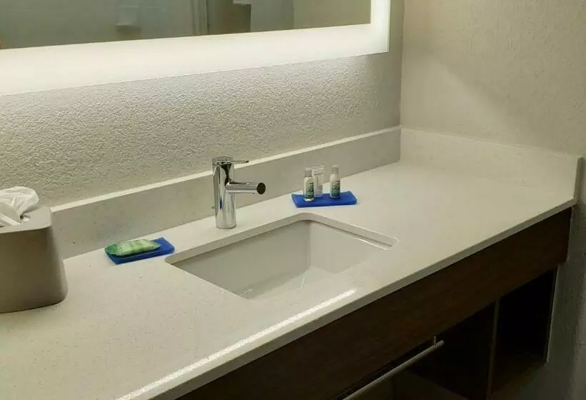 キングサイズベッドのスイートルーム, Holiday Inn Express Hotel And Suites Weslaco, An Ihg