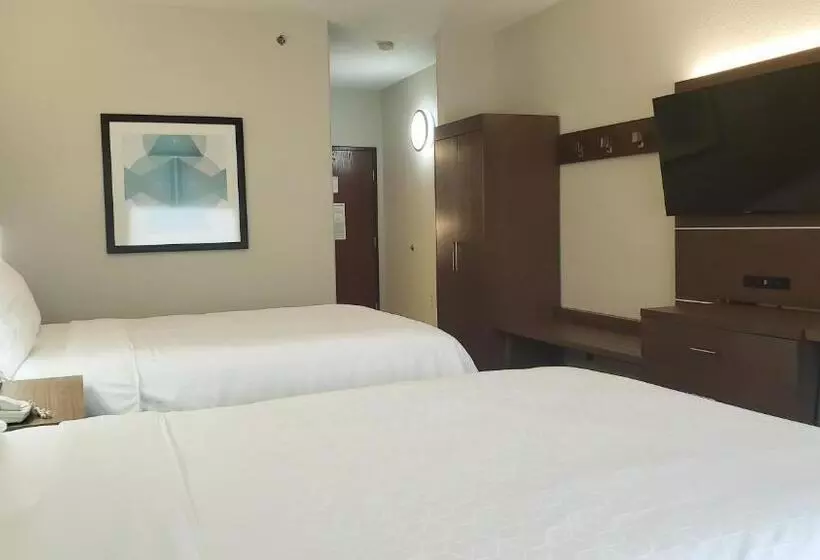 スタンダードルーム, Holiday Inn Express Hotel And Suites Weslaco, An Ihg