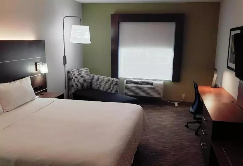 キングサイズベッドのスタンダードルーム, Holiday Inn Express Hotel And Suites Weslaco, An Ihg