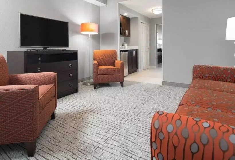スイート, Holiday Inn Hotel & Suites Davenport, An Ihg