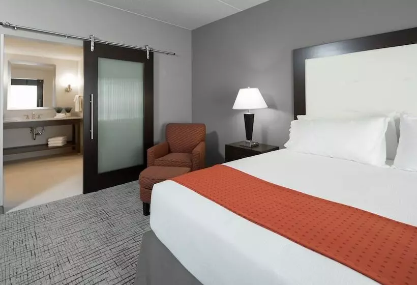 スイート, Holiday Inn Hotel & Suites Davenport, An Ihg