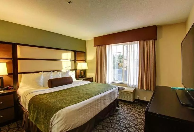 キングサイズベッドのスタンダードルーム, Best Western Plus Vancouver Mall Drive