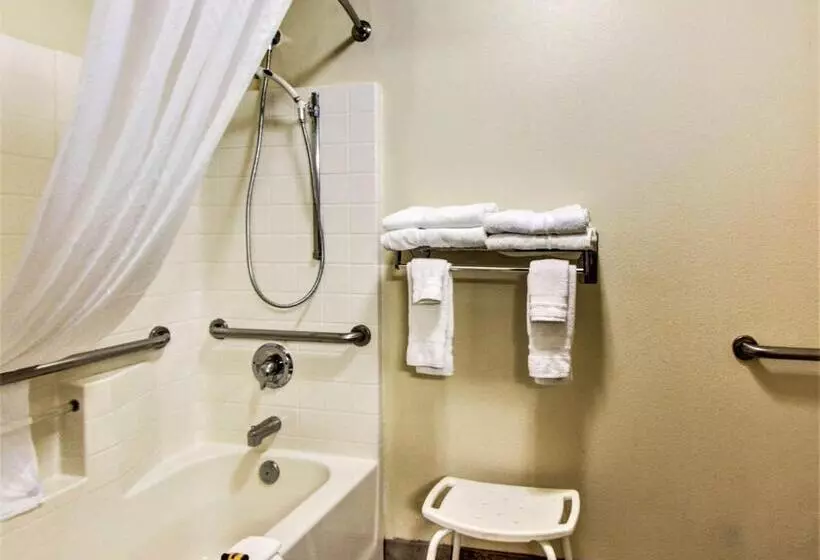 身障者適用スタンダードルーム, Best Western Plus Vancouver Mall Drive