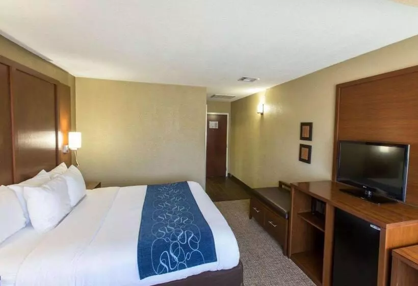 身障者適用スイートルーム, Comfort Suites Idabel