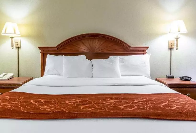 سوئیت با تخت بزرگ, Comfort Suites