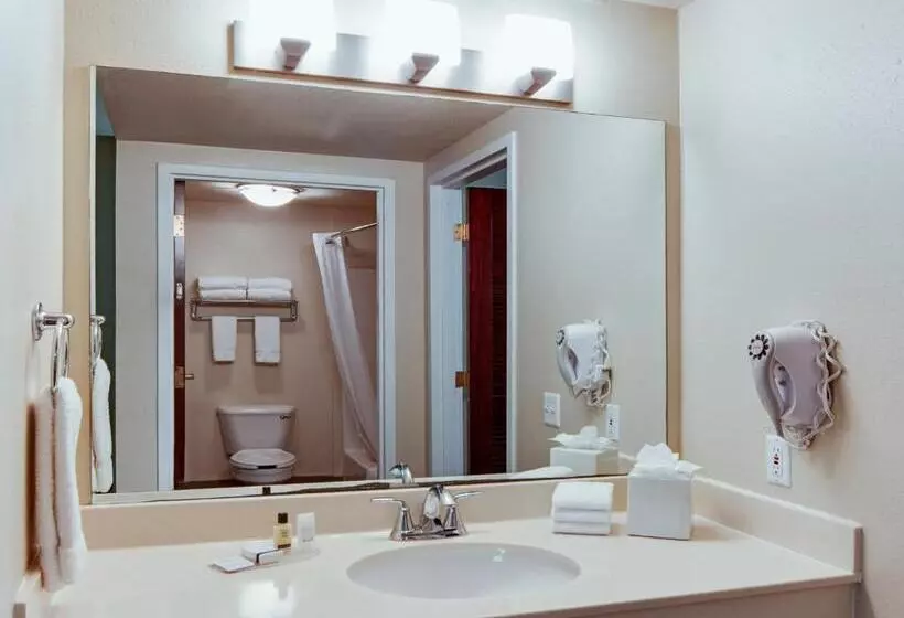 سوئیت برای معلولان, Hawthorn Extended Stay By Wyndham College Station