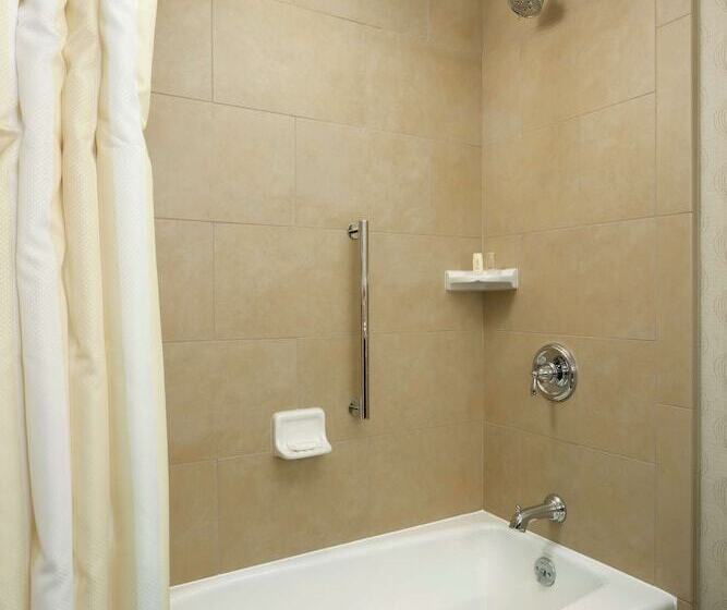 Номер Deluxe, Hilton Garden Inn Washington Dc/georgetown Area