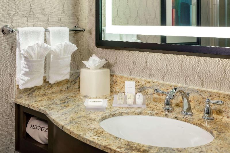 اتاق استاندارد با تخت بزرگ, Hilton Garden Inn Washington Dc/georgetown Area