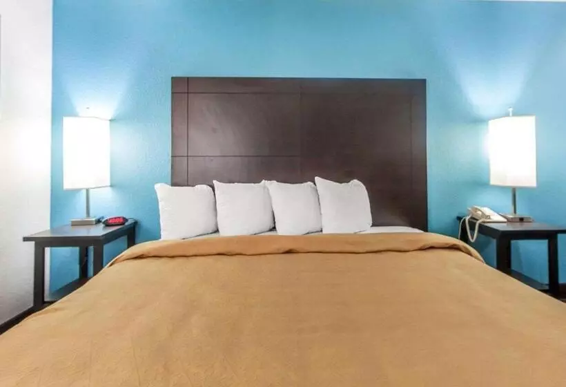 キングサイズベッドのスタンダードルーム, Quality Inn & Suites