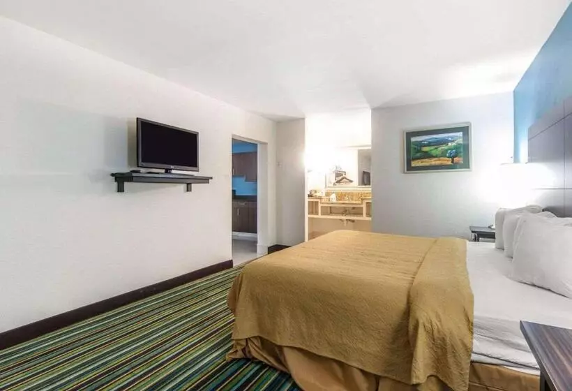 キングサイズベッドのスタンダードルーム, Quality Inn & Suites