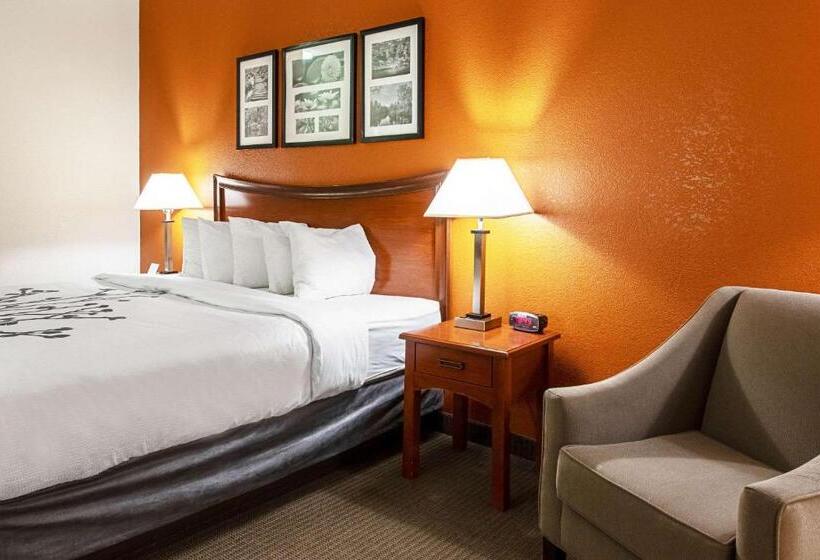 Стандартный Номер Кровать Кинг, Sleep Inn & Suites