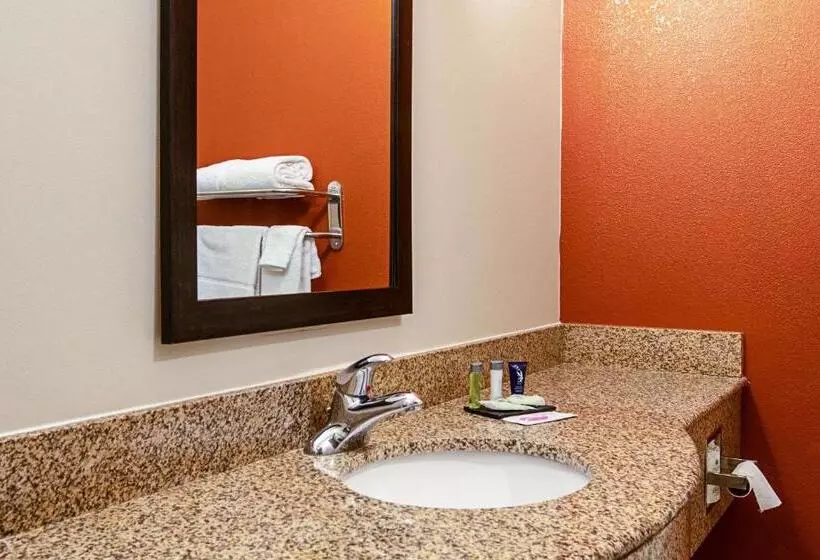 キングサイズベッドのスタンダードルーム, Sleep Inn & Suites