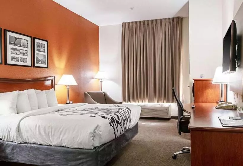 キングサイズベッドのスタンダードルーム, Sleep Inn & Suites