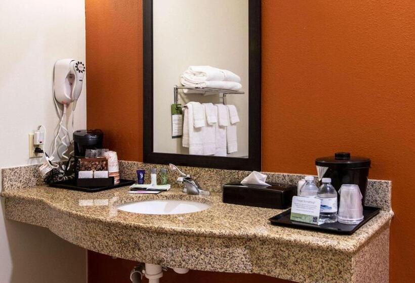 Люкс Адаптированный для Инвалидов, Sleep Inn & Suites