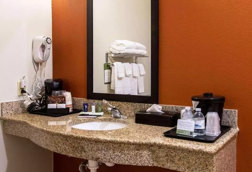身障者適用スイートルーム, Sleep Inn & Suites