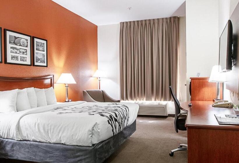 身障者適用スイートルーム, Sleep Inn & Suites