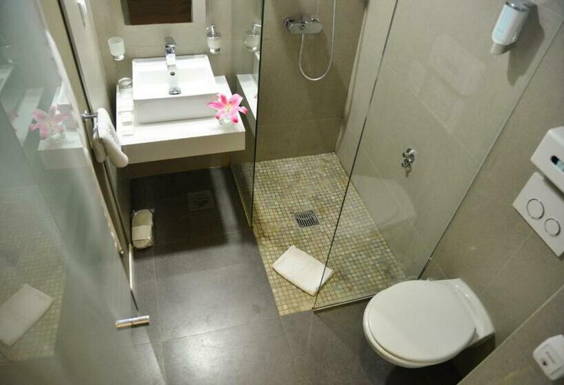 اتاق استاندارد یک نفره, Sole