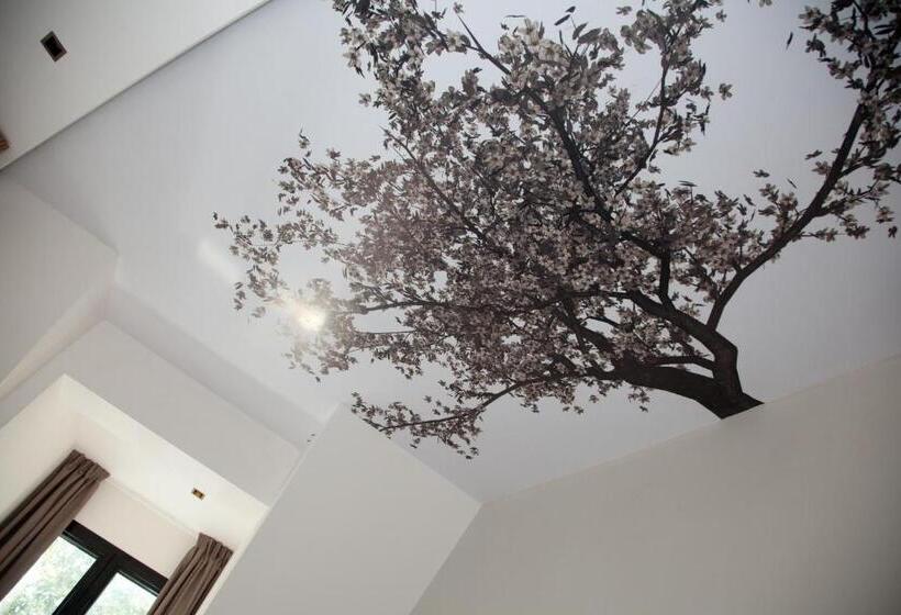 اتاق استاندارد, Sole