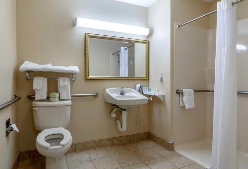 适合残疾人士使用的带超级大床的标准间, Super 8 By Wyndham Great Bend