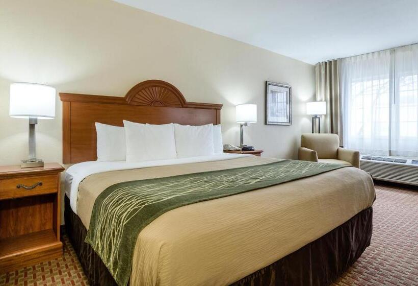 适合残疾人士使用的带超级大床的标准间, Super 8 By Wyndham Great Bend